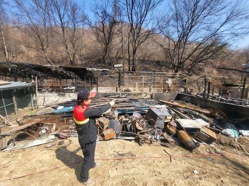 산불현장 살피는 산불감시원 [연합뉴스 자료사진]