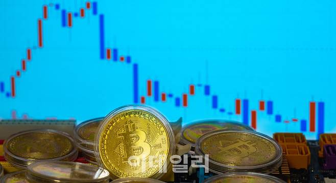 (사진=이미지투데이)