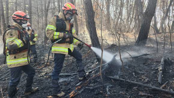 경상북도 119산불특수대응단 소속 박현중 산불대응 5팀장이 한 산림화재 현장에 출동해 진화활동을 하고 있는 모습. (사진=소방청)