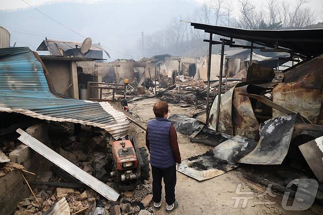 의성 산불로 전소된 마을 ⓒ 로이터=뉴스1 ⓒ News1