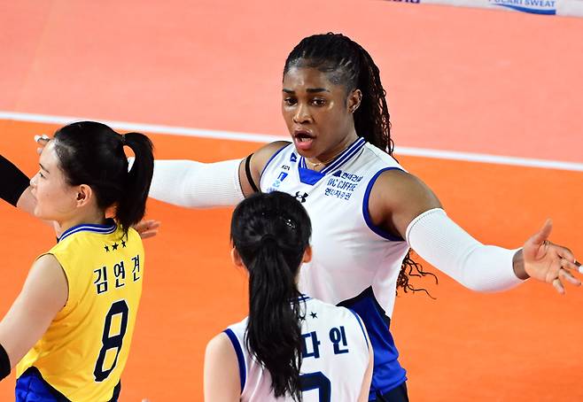 제공 | 한국배구연맹