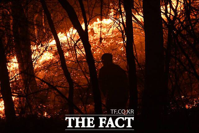 의성 산불이 발생한지 4일째를 맞은 25일 오후 주왕산 국립공원이 인접한 경북 청송군 청송읍 청운리 일대에 불이 확산 중인 가운데 주민이 불길을 잡고 있다. /안동=박헌우 기자