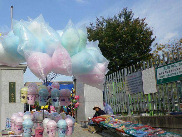 90년대 그 시절 가을운동회.jpg