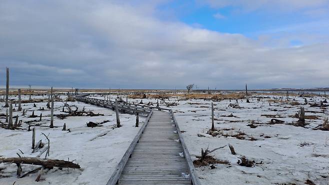 1000011322.heic.auto.jpg 겨울의 홋카이도 여행기 1편: 네무로(상)