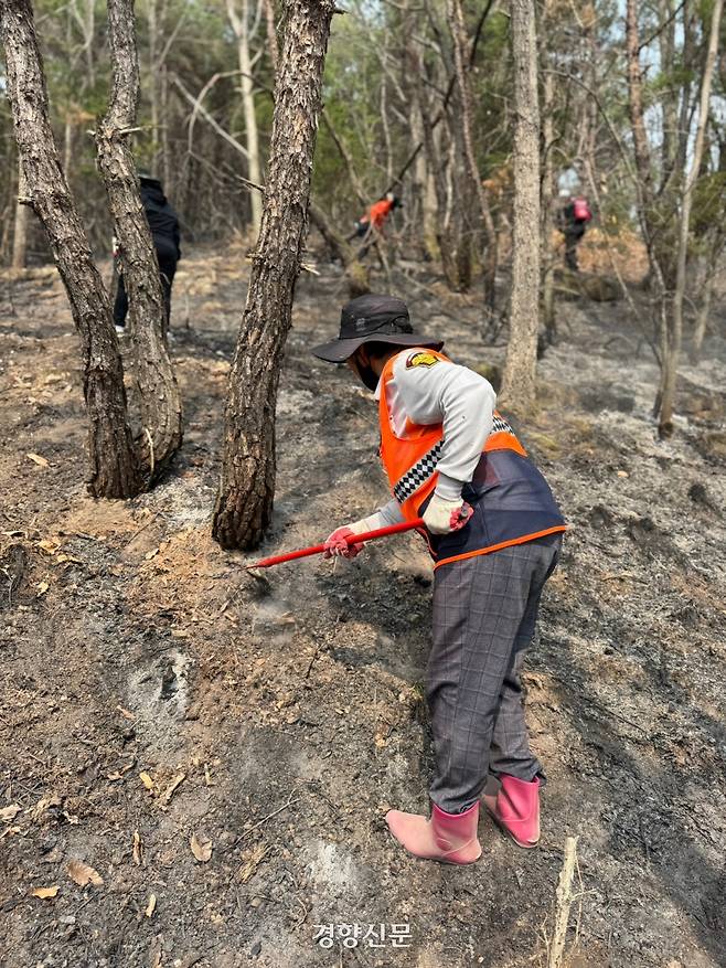 경북 의성군 안사면 안사리의 한 야산에서 지역 주민들로 구성된 의용소방대 등이 잔불 정리 작업을 하고 있다. 백경열 기자