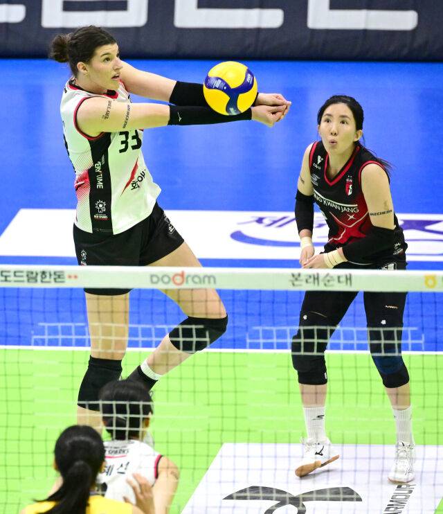 정관장 부키리치가 리시브를 하고 있다 / 한국배구연맹(KOVO)