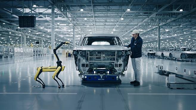 HMGMA 차체 공장에서 보스턴 다이내믹스의 4족 보행 로봇 ‘스팟(Spot)’이 차체를 검사하고 있다. [현대차그룹 제공]