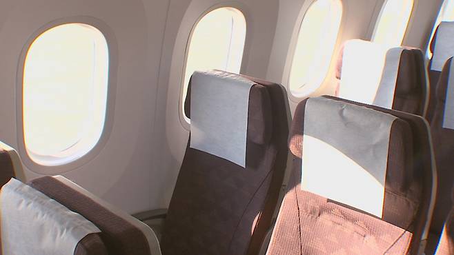 비행기 좌석 [연합]