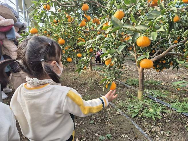 [대전=뉴시스] 조명휘 기자 = 최우수 농촌체험휴양마을로 선정된 대전 중구 무수천하마을에서 어린이들이 체험프로그램을 즐기고 있다. (사진= 중구청 제공) 2024.01.19. photo@newsis.com *재판매 및 DB 금지