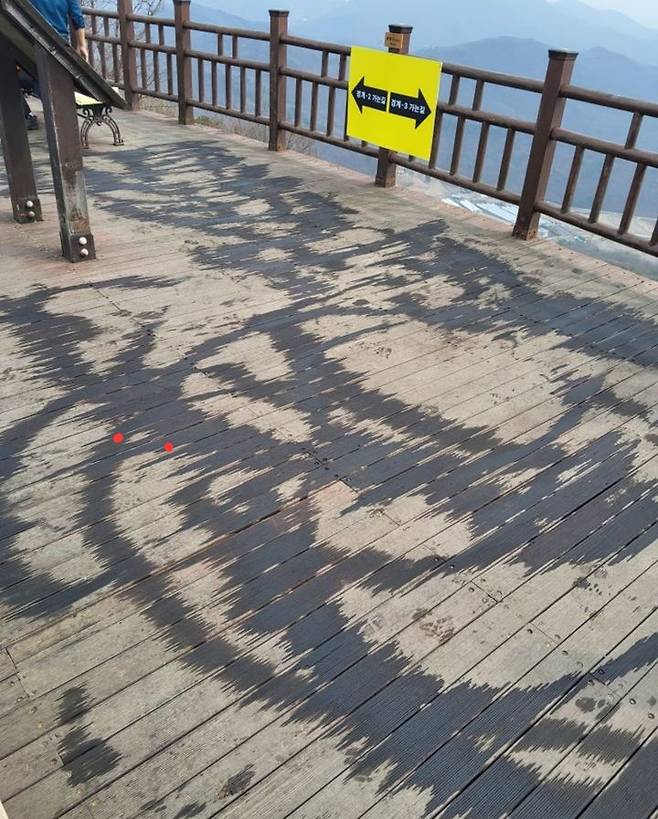 사진=경기도소방재난본부 제공 *재판매 및 DB 금지