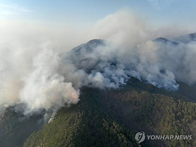 (청송=연합뉴스) 김도훈 기자 = 26일 산불이 번진 경북 청송군 주왕산에서 연기가 피어오르고 있다. 2025.3.26 superdoo82@yna.co.kr 연합뉴스