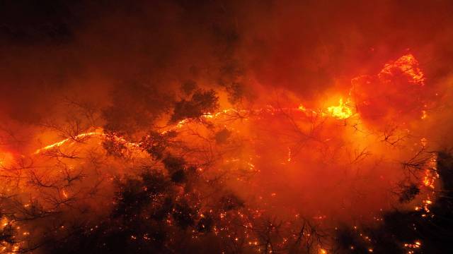 경북 의성에서 시작된 산불이 확산하며 피해가 이어진 26일 경북 의성군 옥산면 신계2리 기룡산에서 산불이 민가 방향으로 번지고 있다. 의성=조태형 기자