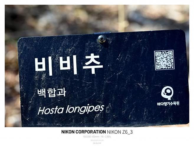 0996e319b5826ffe20b5c6b236ef203e6400bb1941221f48e786