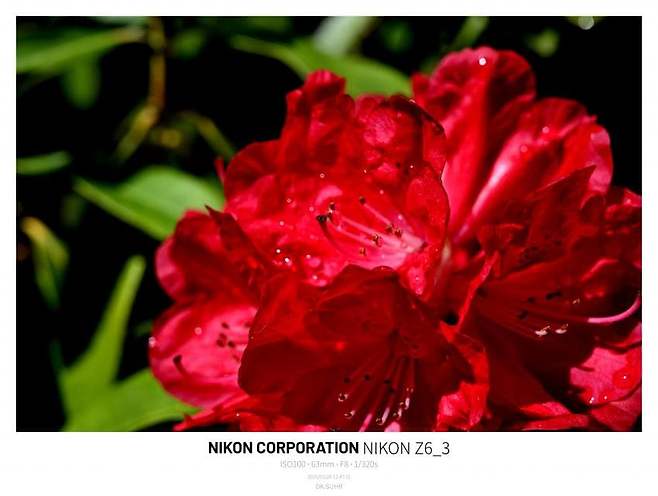 0996e319b5826ff520b5c6b236ef203ef3d4223371ee94695b