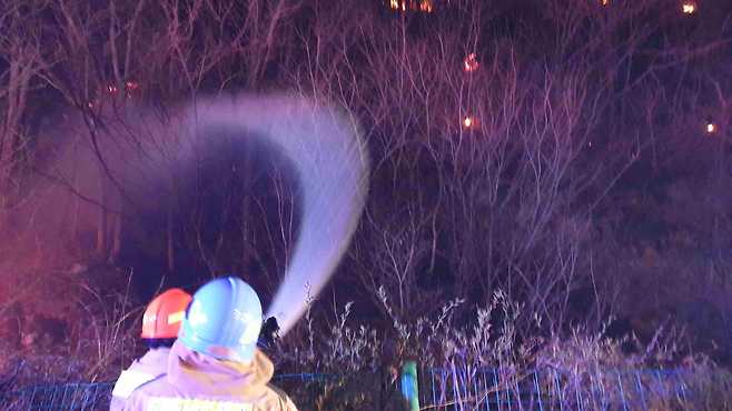 사진 제공 경북소방본부