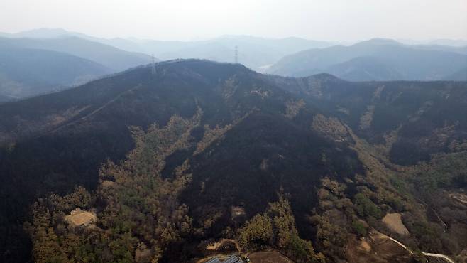 28일 오전 산불피해를 입은 의성군 점곡면 사촌리 매봉산 일대가 검게 불타 있다. 김태형 기자 xogud555@hani.co.kr