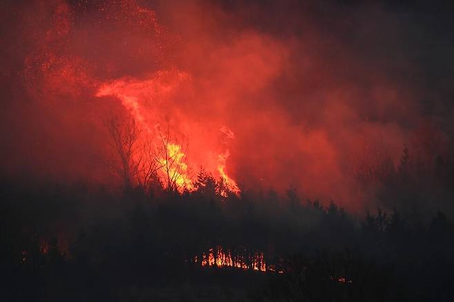 침엽수는 나무에서 분비하는 기름과 같은 성질의 수지가 많아 산불에 취약하고, 불똥이 하늘로 튀어 오르는 비화 현상이 생겨 침엽수림에 불이 붙을 경우 조기 진화가 어렵다. 경남 산청군 화재 현장의 비화 현상. 최병성 제공