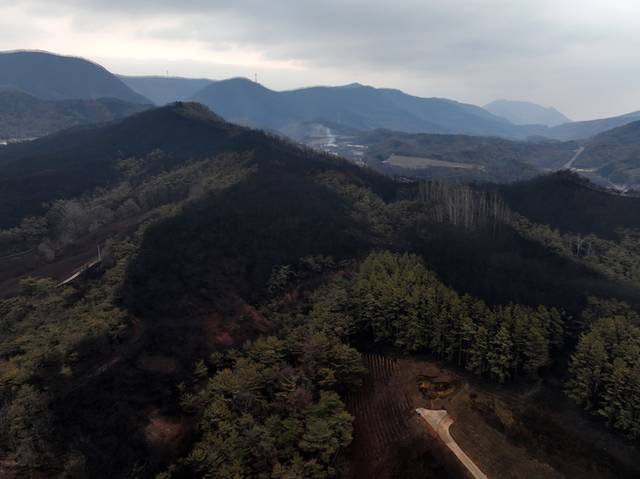 ▲ 산림청이 28일 오전 5시 기준 경북 청송군 지역 산불 진화율이 89%라고 밝힌 가운데 청송군 파천면 신기리 일대 야산이 불에 타 그을려 있다.  연합뉴스