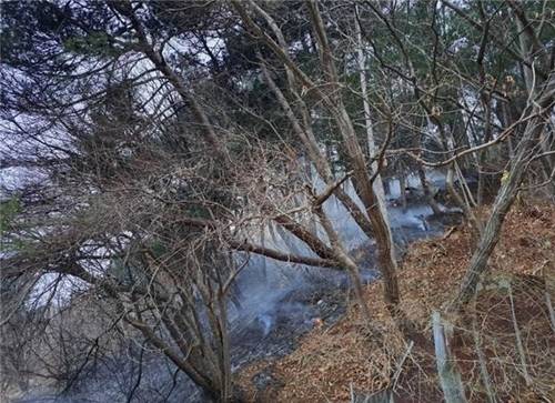 ▲ 28일 오전 5시 49분쯤  홍천 내촌면 광암리에서 산불이 발생했다. 산림청 제공
