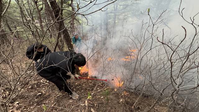 ▲ 27일 오후 경북 영덕군 영덕읍 남산리 한 야산에서 군청 직원들이 불을 끄고 있다. 연합뉴스