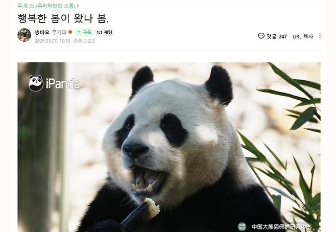 돌아온 푸바오의 건강한 모습을 보고 송영관 주키퍼가 에버랜드 소통마당에 올린 사진과 글