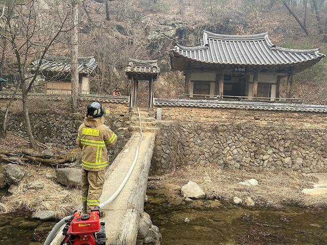 지난 22일 경북 의성군에서 난 산불이 바람을 타고 동진하면서 안동시까지 번진 가운데 경북도소방본부 관계자가 25일 안동 길안면 묵계리 만휴정 원림을 둘러보고 있다. 만휴정 원림은 끝내 화마를 피하지 못하고 모두 전조했다. [연합]