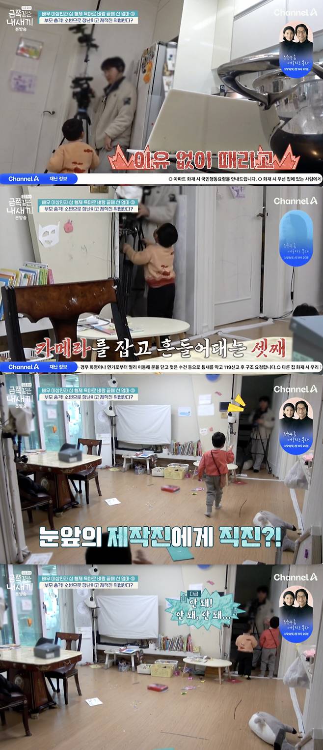 /사진='금쪽같은 내새끼' 방송화면 캡쳐