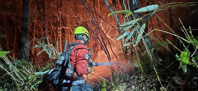'1호 국립공원' 지리산 불길 잡는 진화대원 [산림청 제공. 재판매 및 DB 금지]