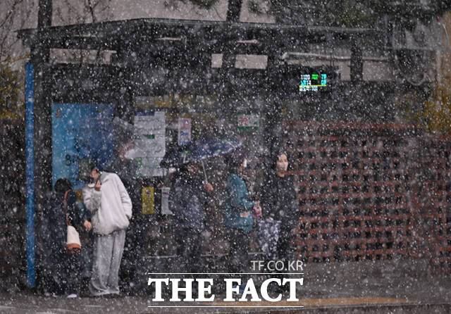 전국 대부분 지역의 아침 기온이 떨어진 가운데, 29일 오전 눈이 내리는 서울 도봉구의 한 버스정류장에서 시민들이 눈을 피해 버스를 기다리고 있다. /이새롬 기자