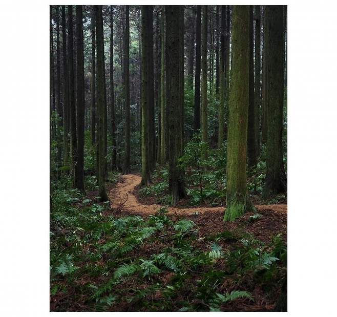 06bcdb27eae639aa658084e54484746e3d6c9c5240e8428dd7d2478c061514a2fc29edc512c693e8100b55995dfec1d9