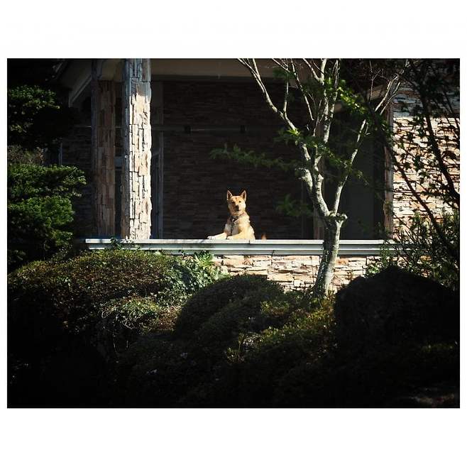 06bcdb27eae639aa658084e54484746e3d6c9c5240e8428fd1dd458e061512a28af0c75eb046f1ca3dbb98fcbbbd02e6