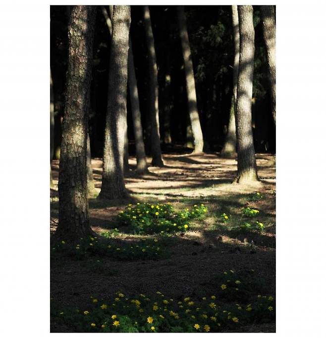 06bcdb27eae639aa658084e54484746e3d6c9c5240e8428fd1dd458e061514a2d5acc1be1bfbc9e40e3876394e283fcc