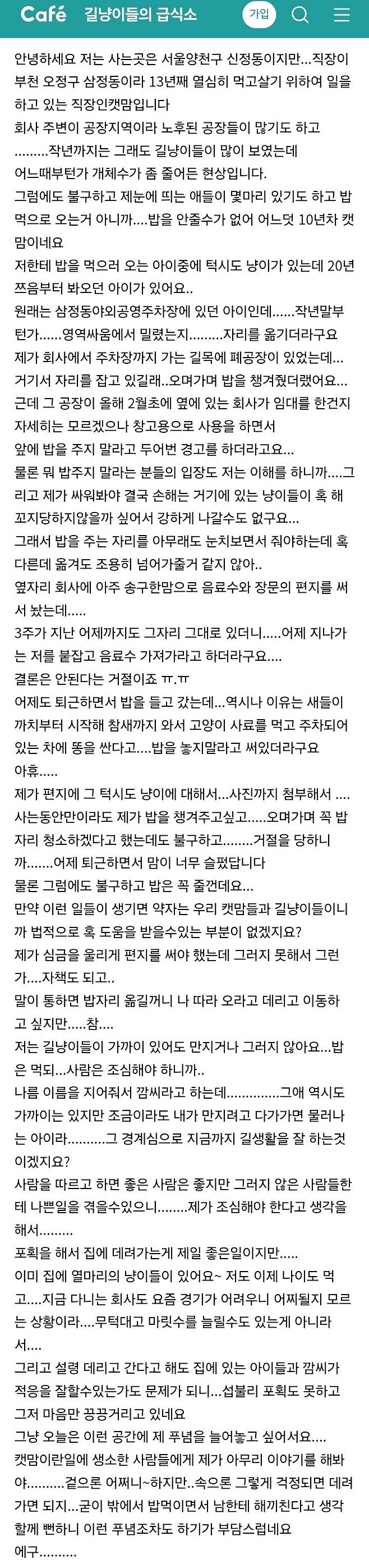 고양이 밥 주지 말라는데도 밥 꼭 줄 거라는 캣맘