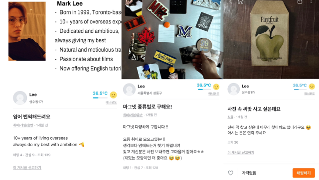 실제로 존재하는 브이로그 속 게시물들./어플 '당근마켓' 캡처