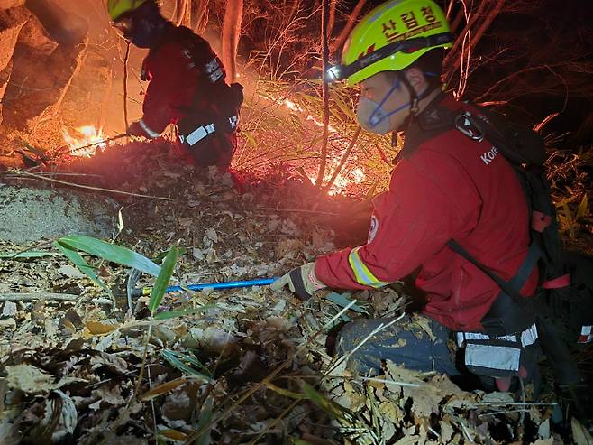 두터운 낙엽층 진화 어려움. 산림청 제공