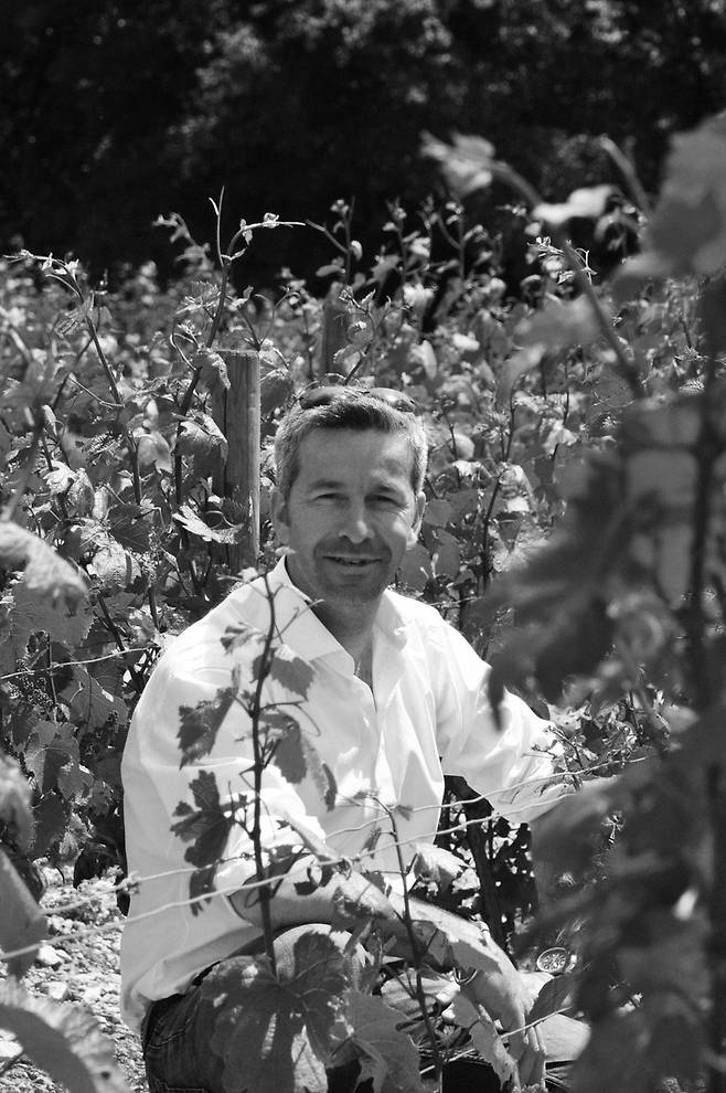 벤자망 라로쉬. 홈페이지