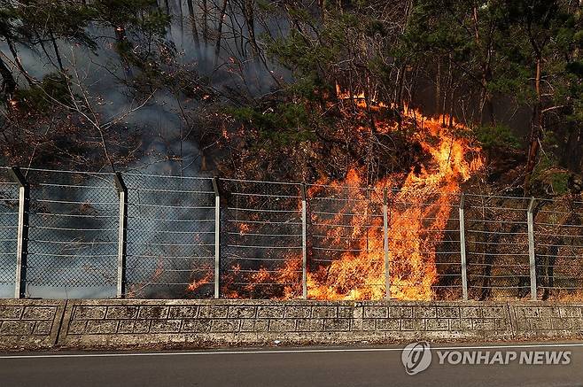 지난 22일 산청 산불현장 [연합뉴스 자료사진]