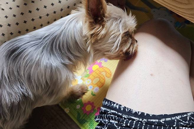 20250329_230222.jpg 냉이 된장찌개에 냉동목심