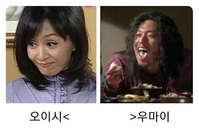 오이시와 우마이의 차이점 한짤요약 jpg.