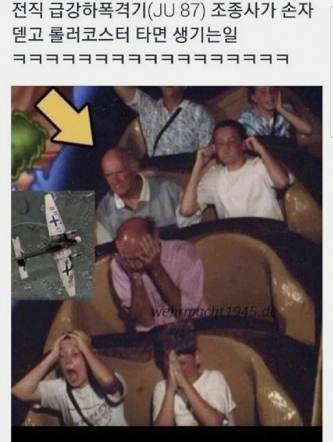image.png 손주때문에 타는거지만 롤러코스터 재미없네