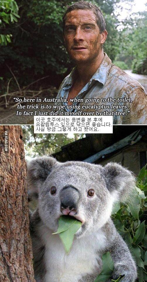 다운로드.jpg 베어그릴스 인성 논란