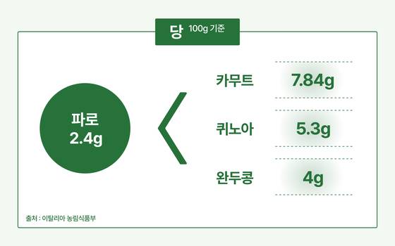 파로와 카무트, 퀴노아, 완두콩의 당 함량 비교. 그래픽 김주연 쿠킹 인턴