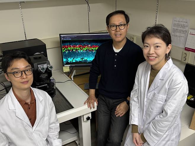 이번 연구를 수행한 KAIST 연구진. 김무성(왼쪽부터) KAIST 생명과학과 박사과정, 김진우 교수, 이은정 박사.[KAIST 제공]