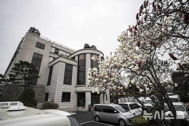 [서울=뉴시스] 정병혁 기자 = 윤석열 대통령 탄핵심판 4월 선고가 가시화 되고 있는 가운데 27일 서울 종로구 헌법재판소에 목련이 활짝 피어 있다. 2025.03.27. jhope@newsis.com