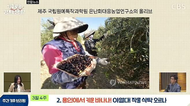 CBS 경제연구실 유튜브 캡처