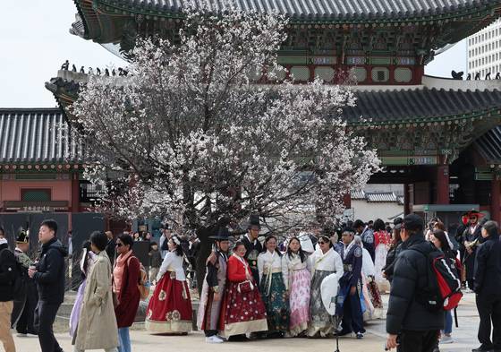 꽃샘추위가 이어진 지난 30일 서울 경복궁에서 관광객들이 기념촬영을 하고 있다. 〈사진=연합뉴스〉
