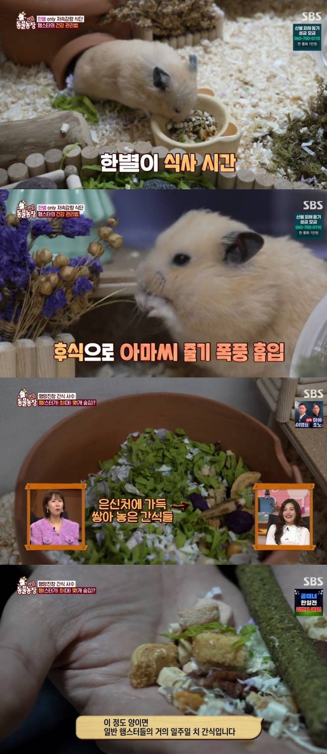 ‘TV 동물농장’ (제공: SBS)