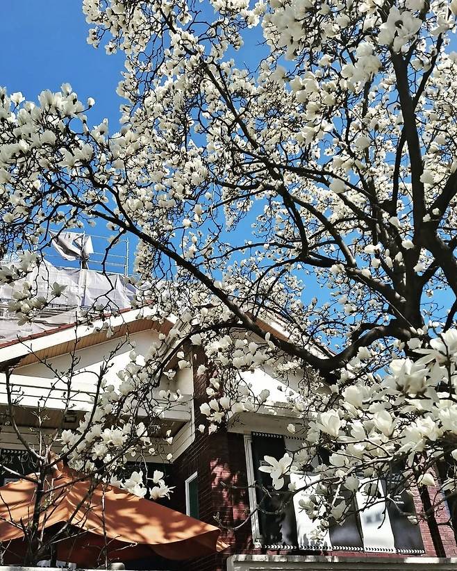 인스타그램 @beansroad