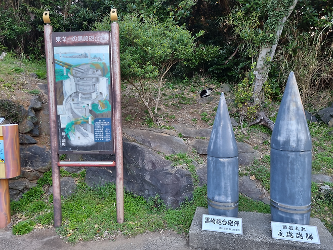 image.png 일본 이키섬( 壱岐島 ( いきのしま ) ) 자전거 여행 기록