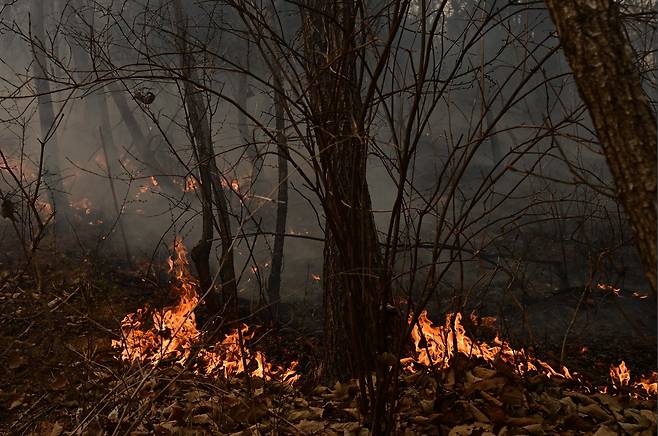 경북 의성에서 발생한 산불이 5일째 이어지면서 산불로 인한 사망자가 16명으로 늘어난 가운데 26일 안동시 임동면 가랫재길에 한 야산에 진화되지 않은 잔불에서 연기가 나고 있다.[안동=이상섭 기자]